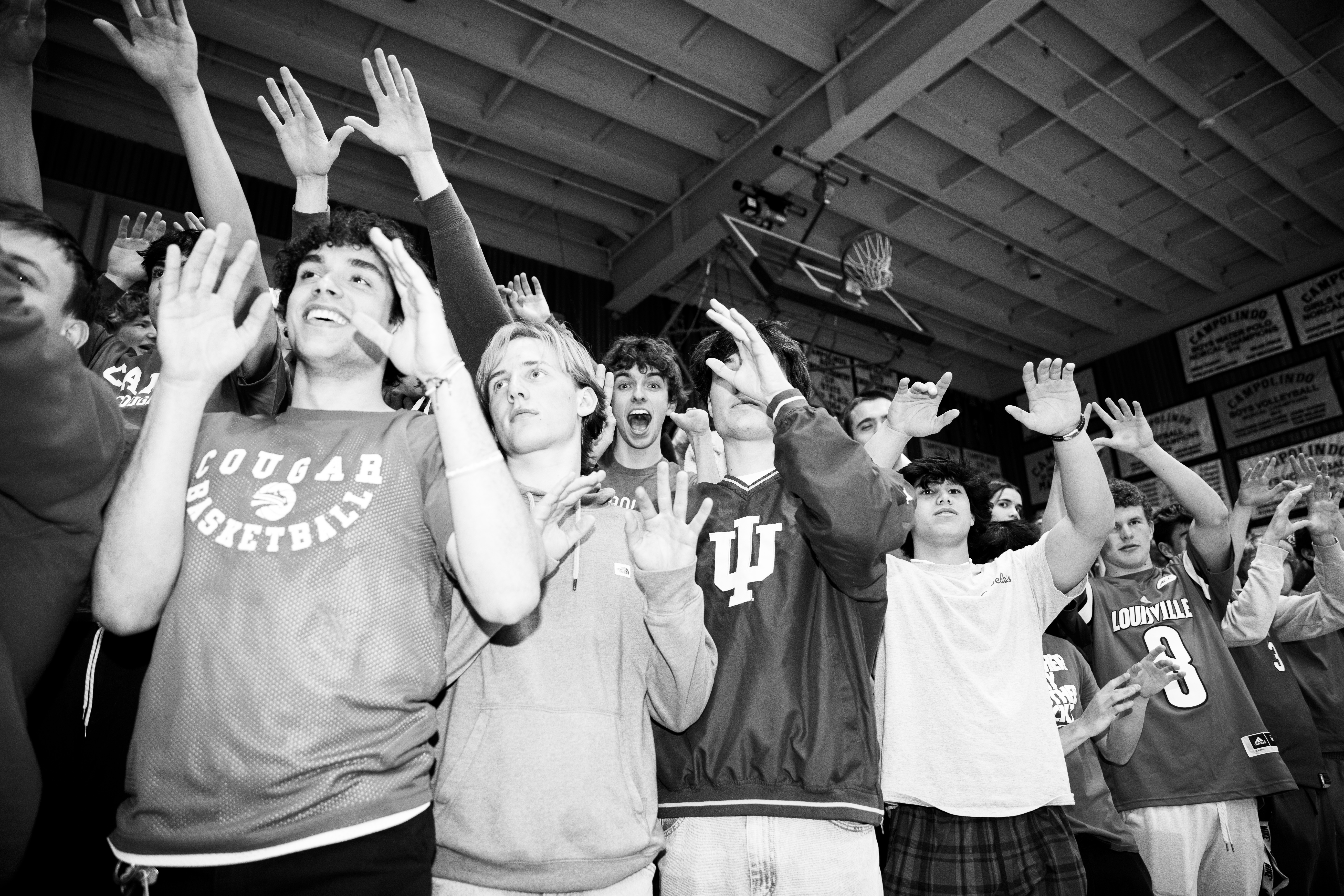Crowd at a live sports event